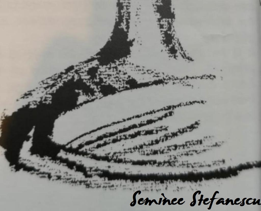 Semineu — Seminee Ștefănescu